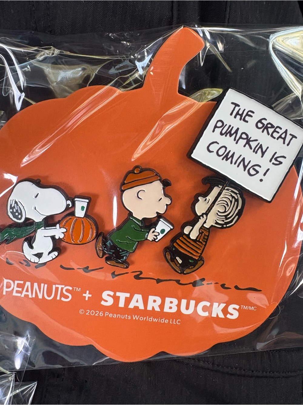 Starbucks x Peanuts Orange Pumpkin Seasonal 2026 pin set NIP